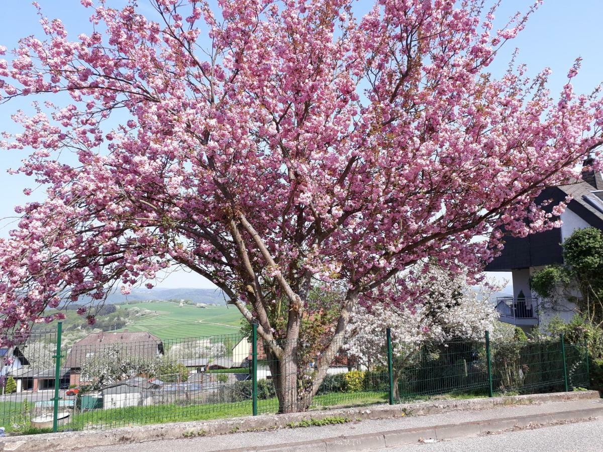 Haus Der Rosen Apartment Boppard Luaran gambar